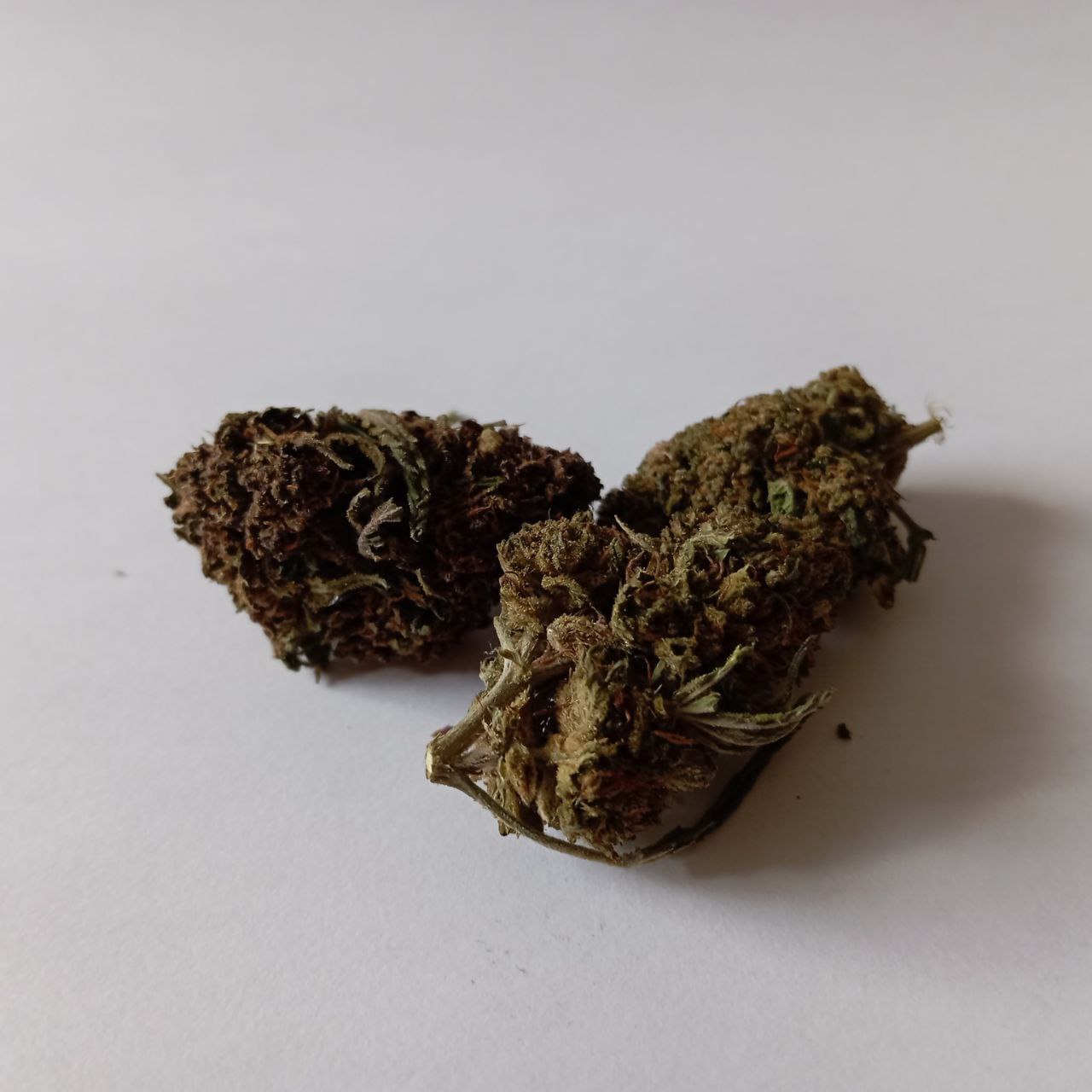 Legendary OG - Greenhouse CBD Flower (17% CBD)