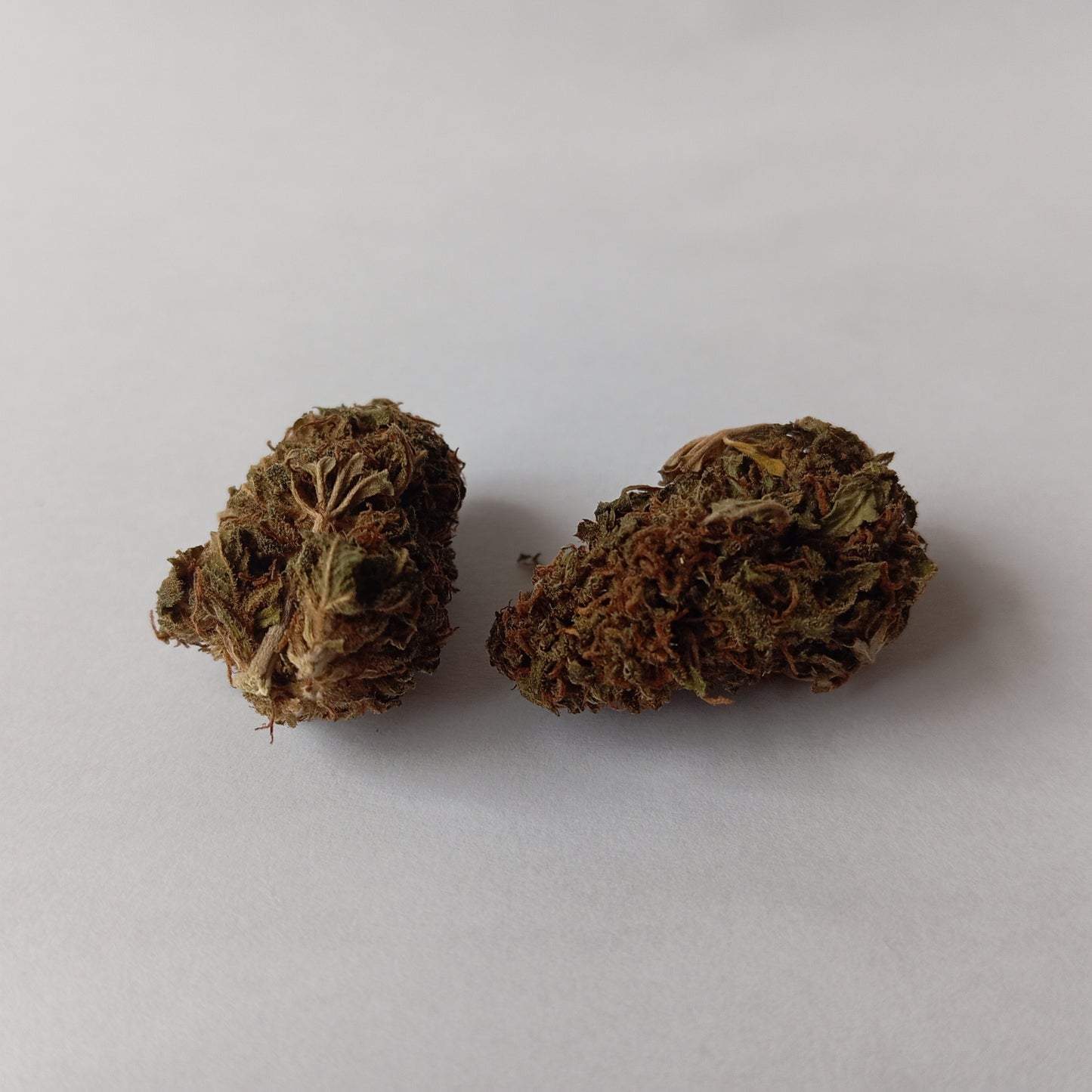 Orange Tang - Greenhouse CBD Flower (15% CBD)