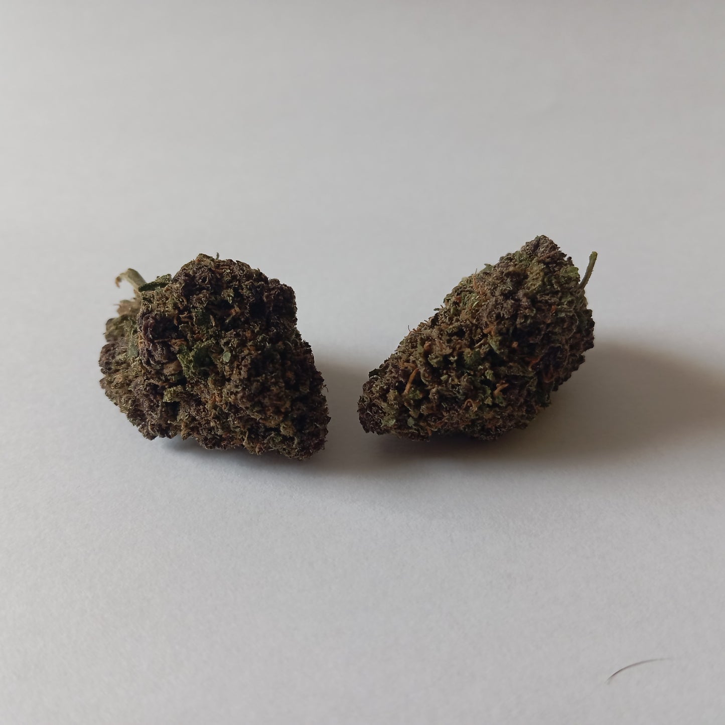Rainbow Kush - Indoor CBD Flower (21% CBD)