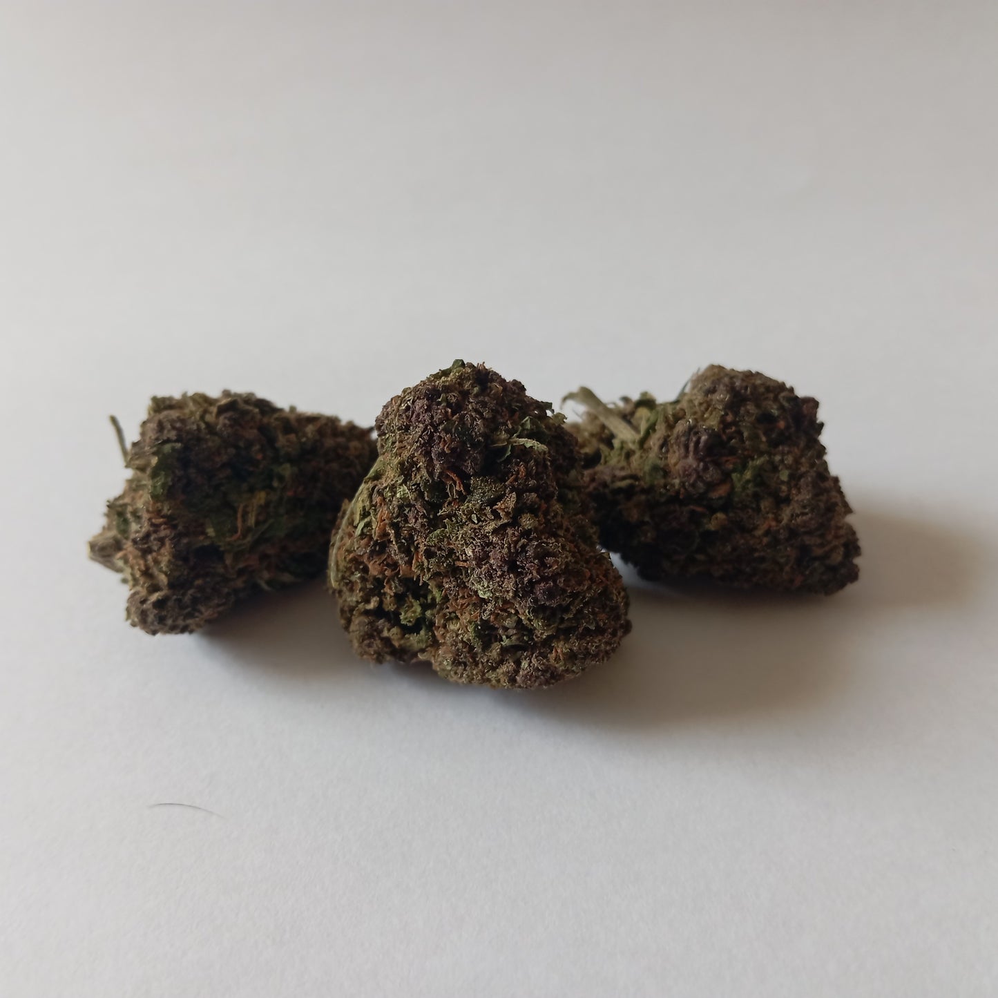 Rainbow Kush - Indoor CBD Flower (21% CBD)