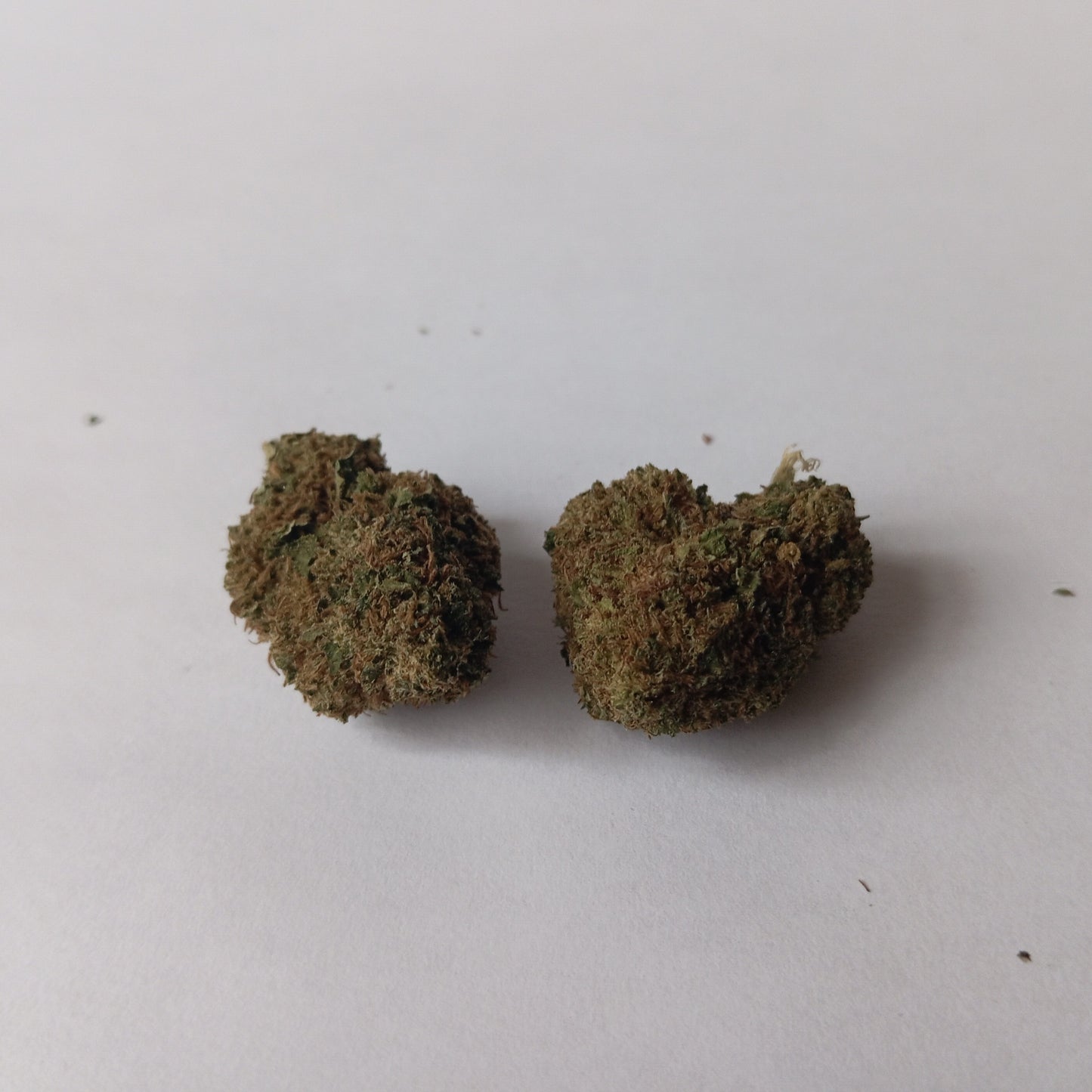Skittles - Greenhouse CBD Flower (17% CBD)