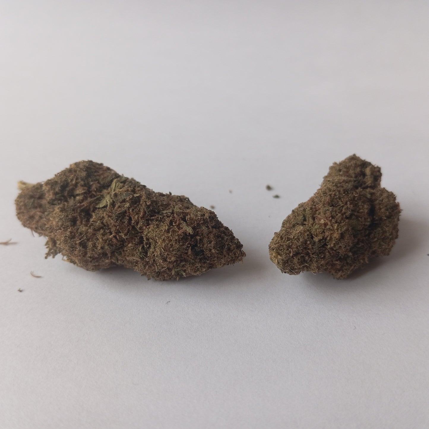 Amnesia - Indoor CBD Flower