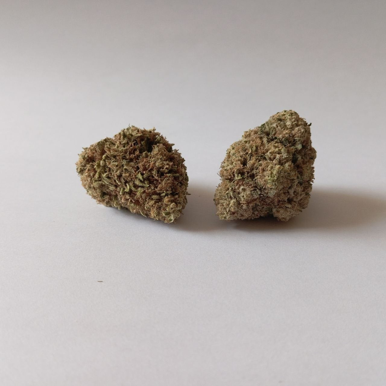 Banana Cream - Greenhouse CBG Flower (14% CBG)