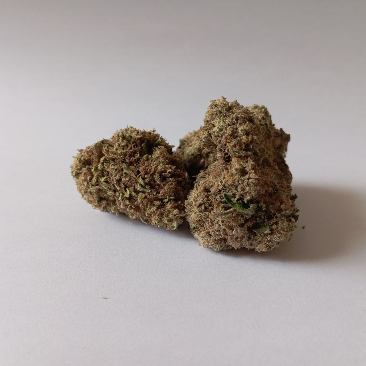 Banana Cream - Greenhouse CBG Flower (14% CBG)