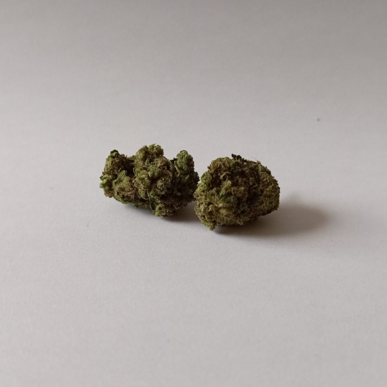 Blueberry - Greenhouse CBD Flower (16% CBD)