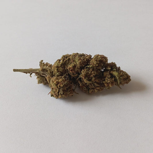 Bubba Kush - Greenhouse CBD Flower (18% CBD)