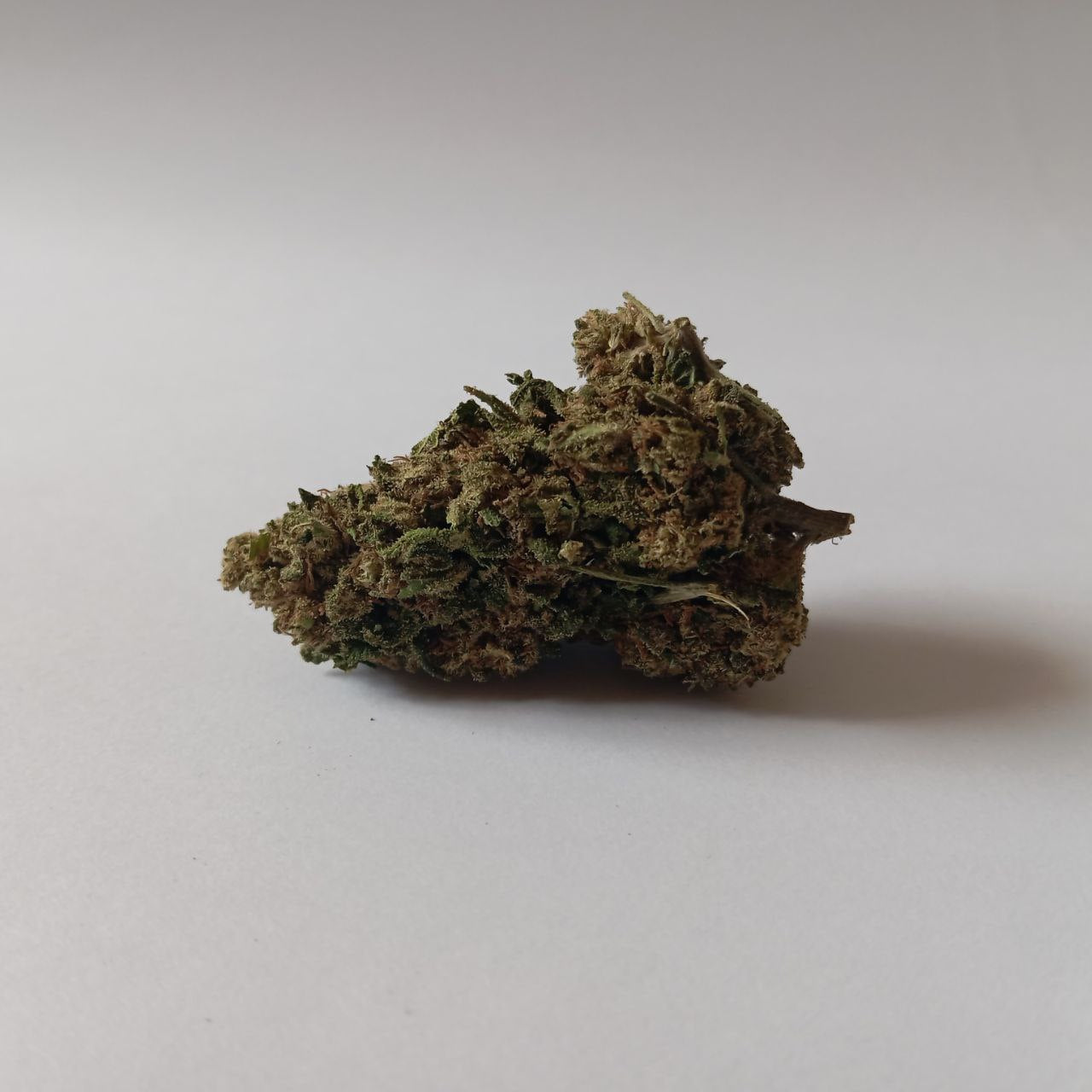 Gelato - Indoor CBD Flower (22% CBD)