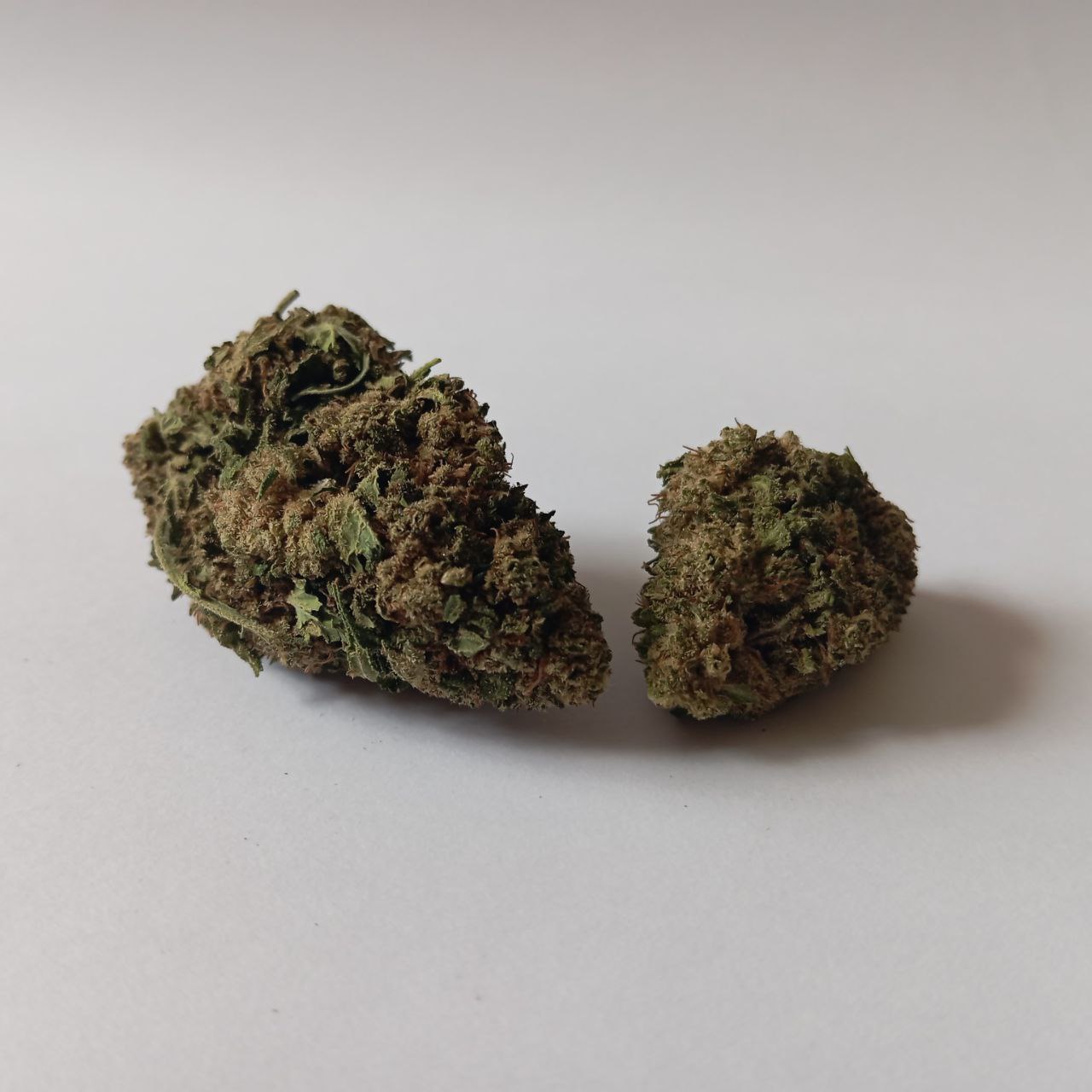 Gelato - Indoor CBD Flower (22% CBD)