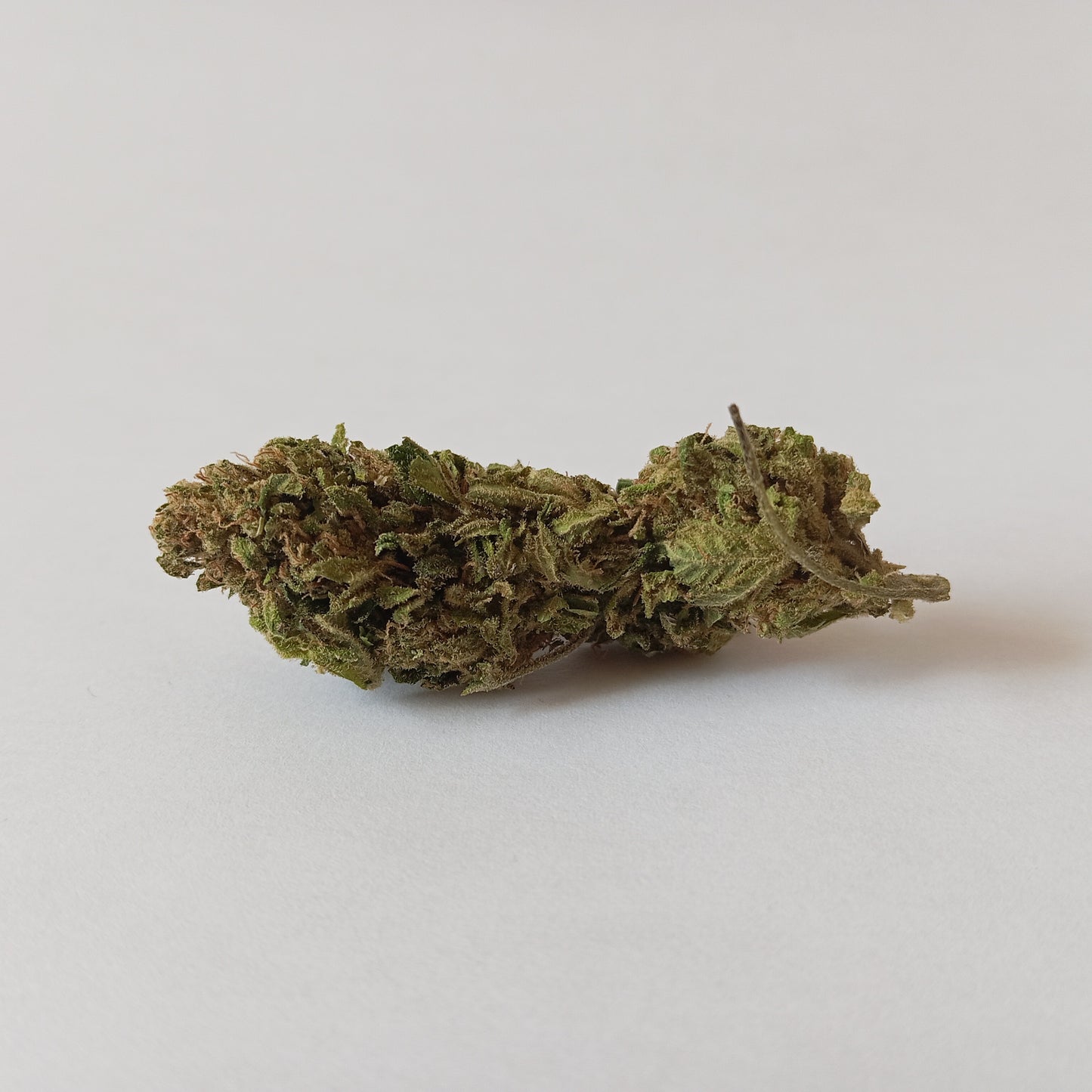 Harlequin - Outdoor CBD Flower
