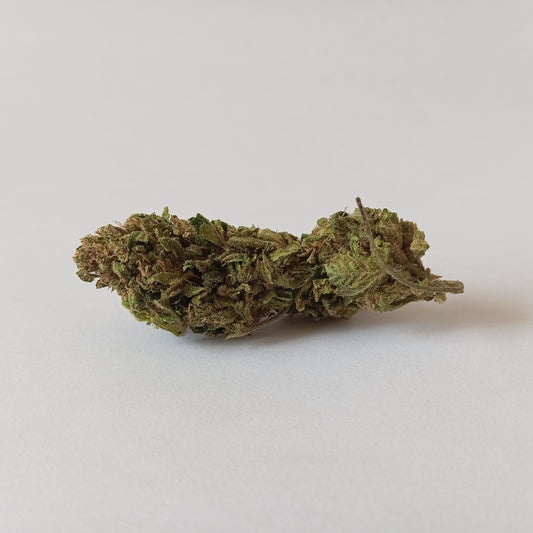 Harlequin - Outdoor CBD Flower
