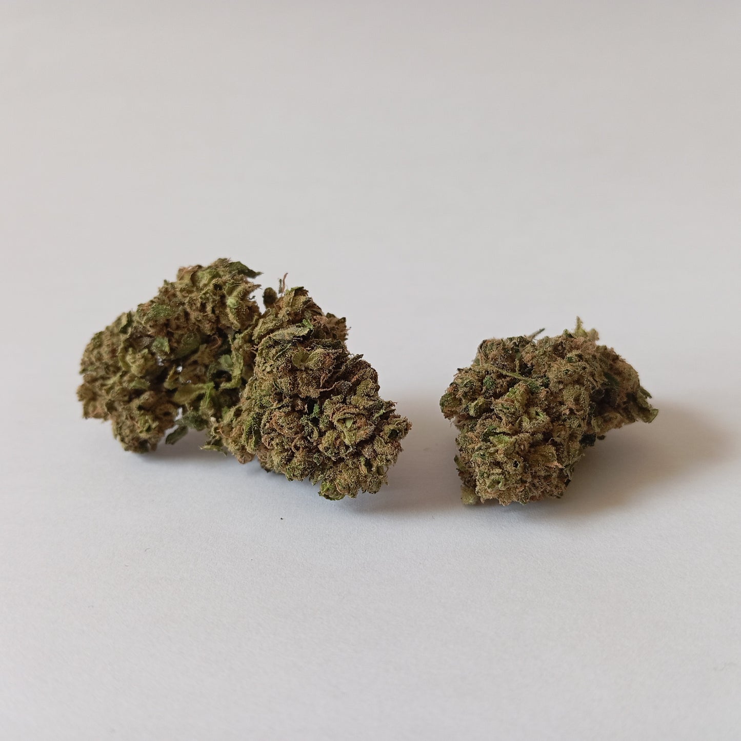 Harlequin - Outdoor CBD Flower