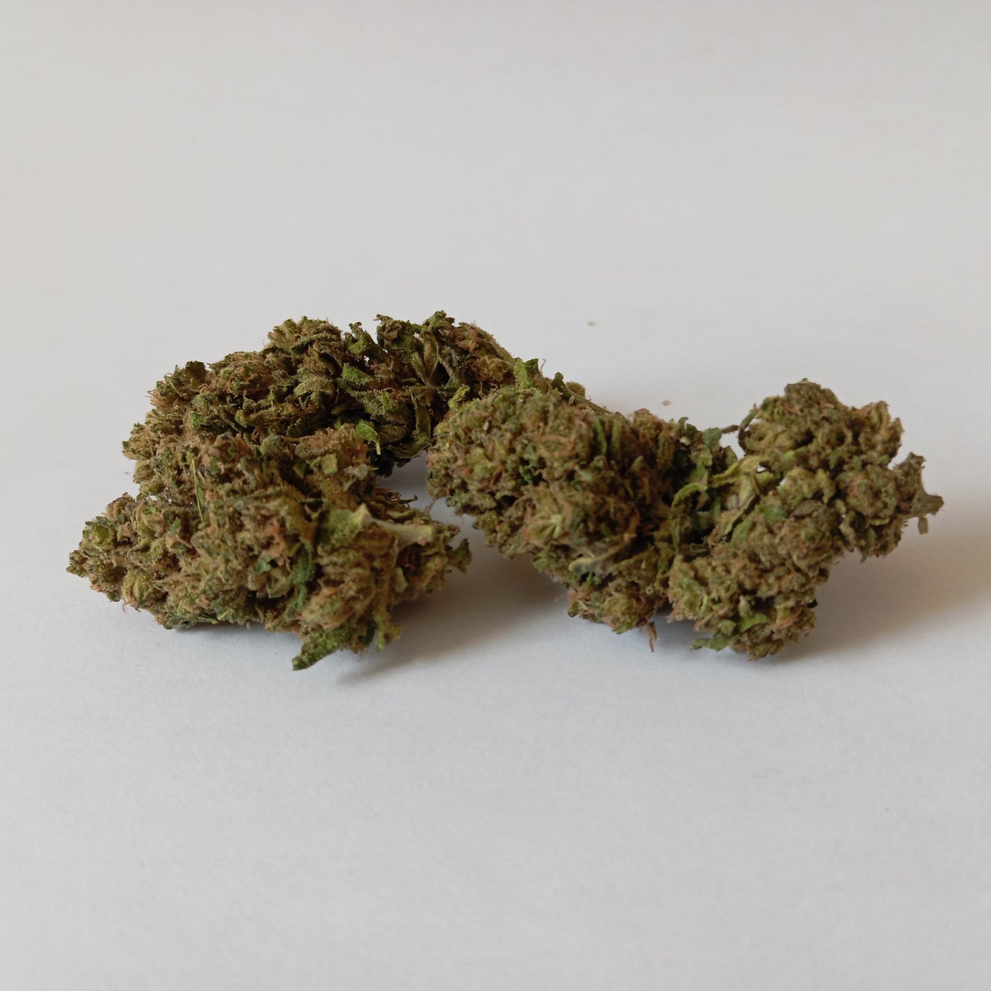 Harlequin - Outdoor CBD Flower