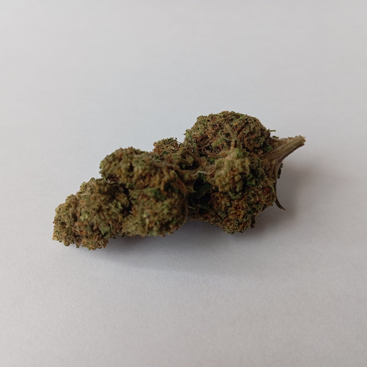 Lemon Haze - Greenhouse CBD Flower