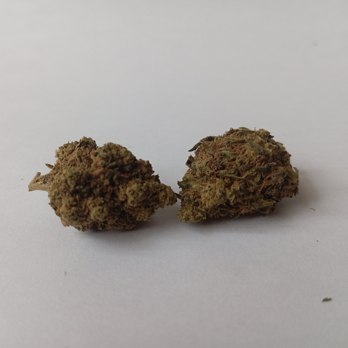 OG Kush - Greenhouse - 20% CBD