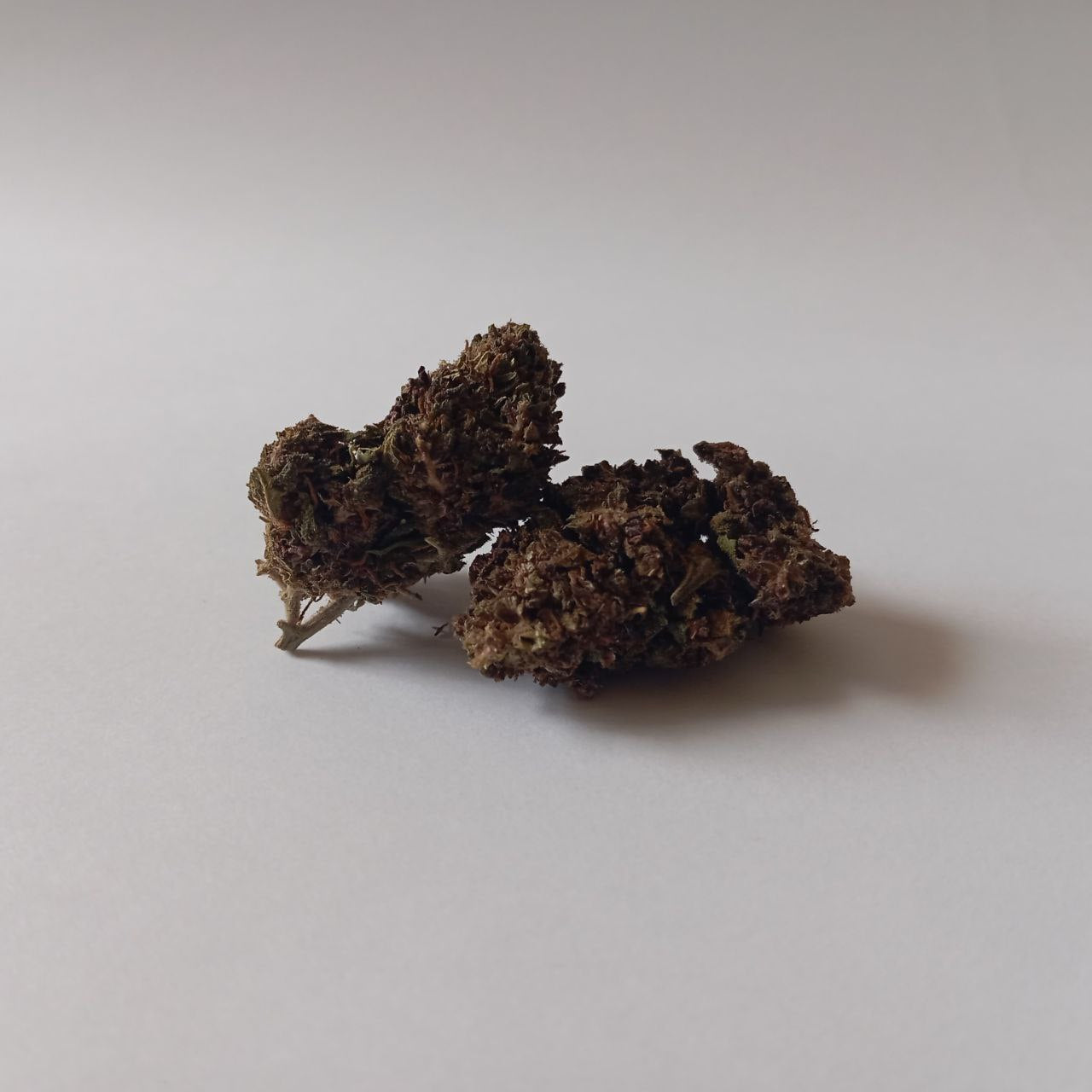 Purple Haze - Greenhouse CBD Flower (15% CBD)